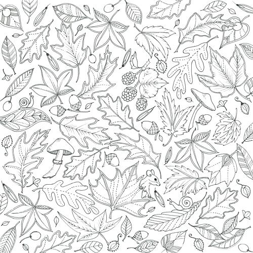 Floating Leaves Art Print