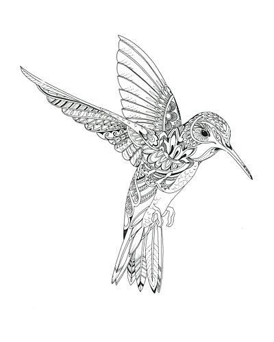 Hummingbird Art Print