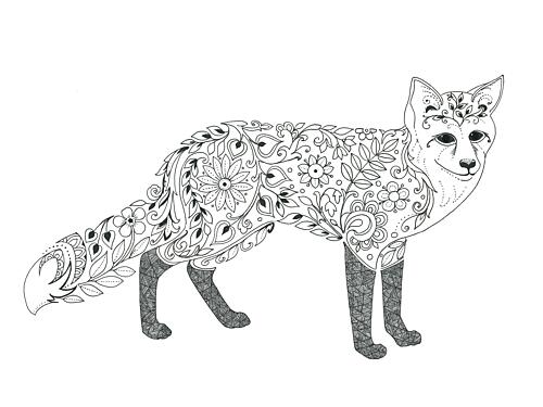 Fox Art Print