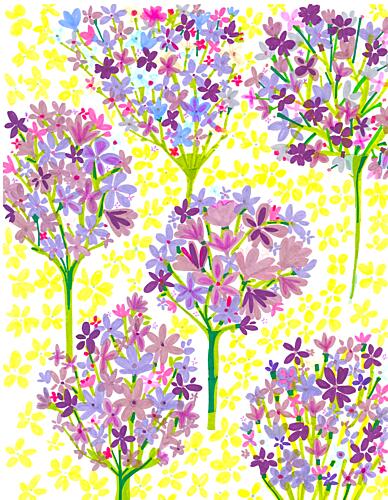 Lilly of the Nile Art Print