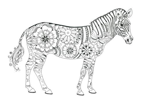 Flowered Zebra Art Print
