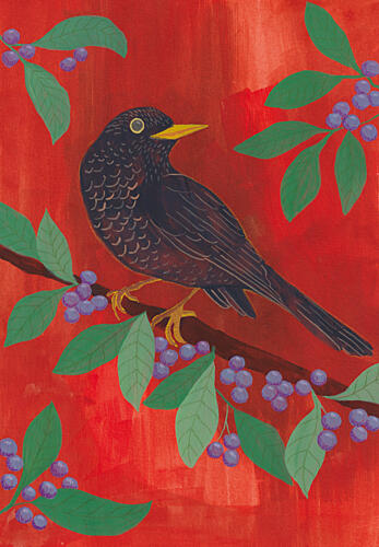 Blackbird and Berries Art Print
