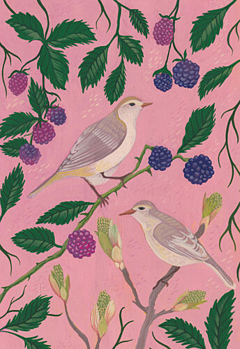 Spring Birds and Berries Art Print