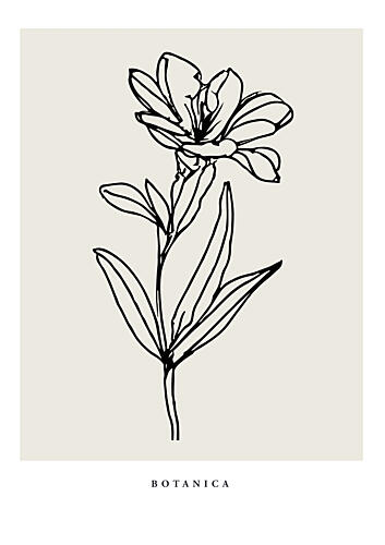 Botanicalineno06 Art Print