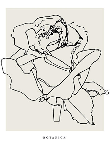 Botanicalineno09 Art Print