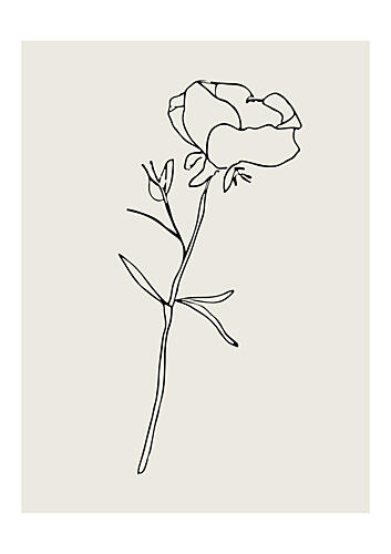 Botanicalineno10 Art Print