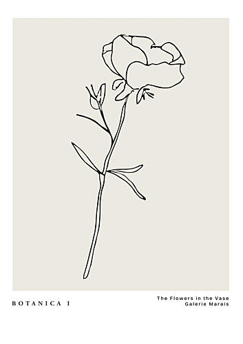 Botanicalineno14 Art Print