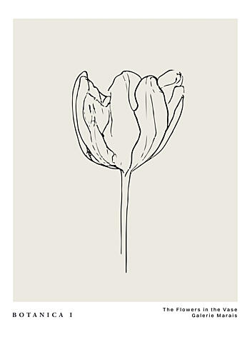 Botanicalineno15 Art Print