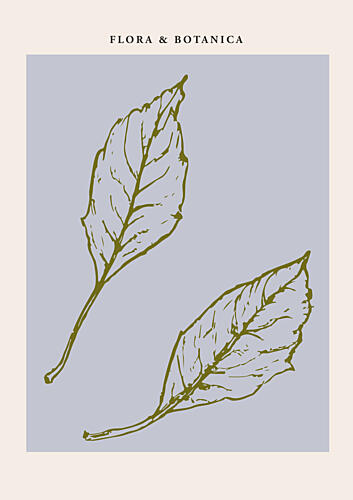 Florabotanicalineno05 Art Print