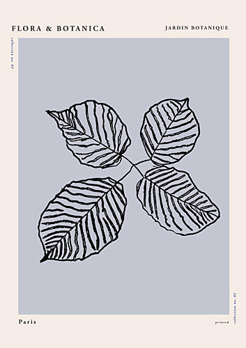 Florabotanicalineno06 Art Print