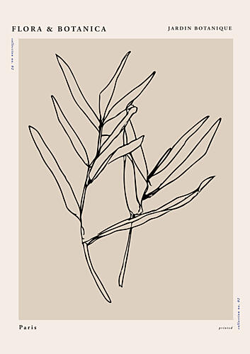 Florabotanicalineno08 Art Print