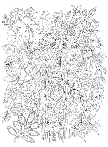 Parrots Art Print