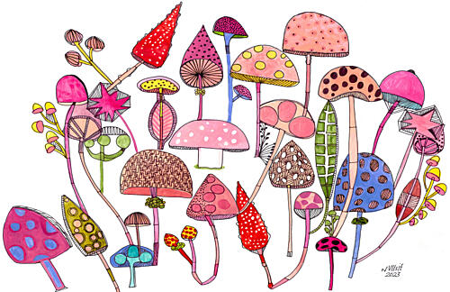 Shrooms Art Print