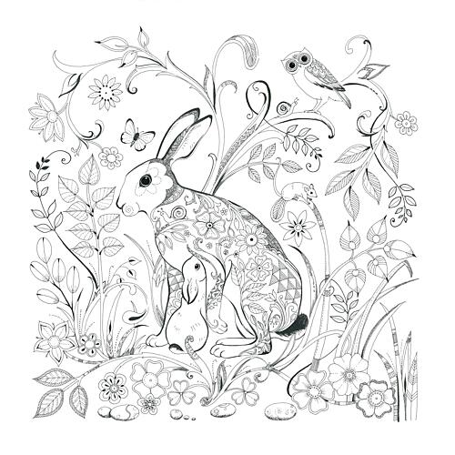 Hare and Young Art Print