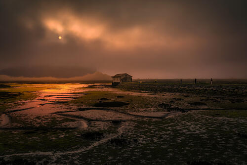 Golden Marsh House Glow Art Print