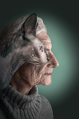 Sphynx and Woman Portrait Art Print