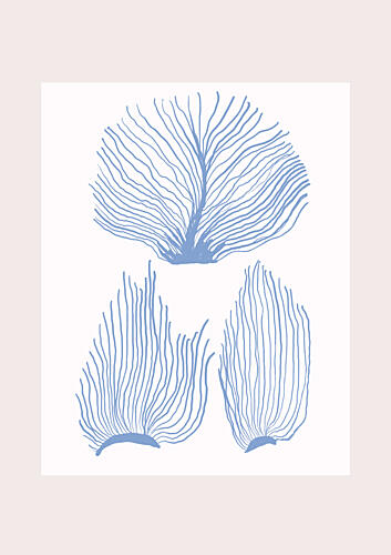 Maritimcalmeno01 Art Print