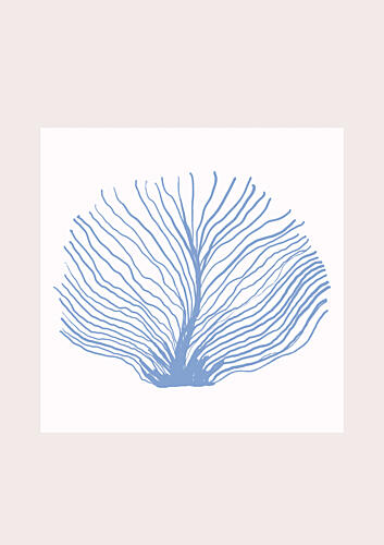 Maritimcalmeno02 Art Print