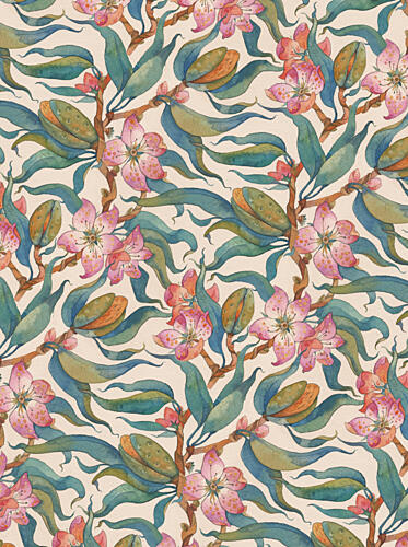 Bitter Almond Watercolor Wallpaper Floral Blossom Handpainted Illustration Art Print