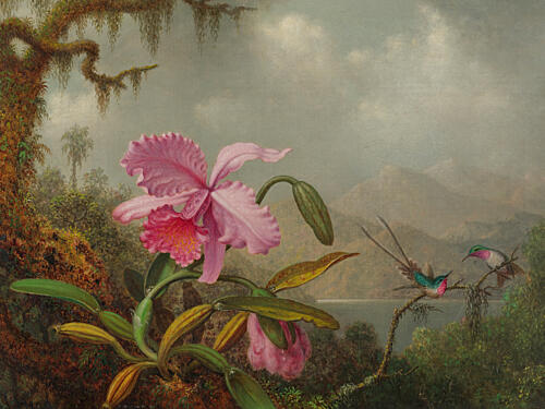 Martin Johnson Heade Orchids and Hummingbirds Art Print