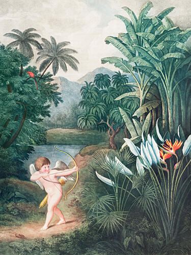 Cupid Inspiring Plants with Love from the Temple of Flora 1807 by Robert John Thornton Art Print