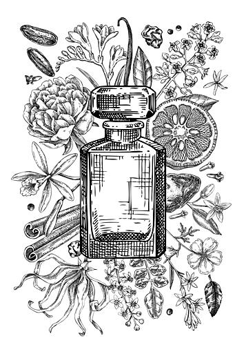 Elegant Perfume Botanicals Art Print by Yevheniia Lytvynovych