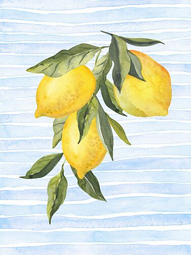 Sunny Citrus on Blue Art Print