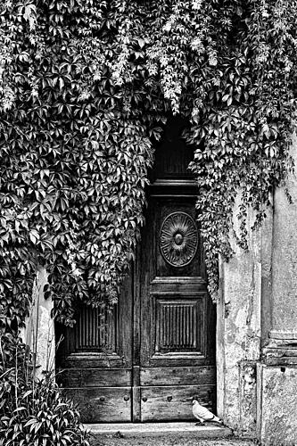 Ivy Covered Doorway Art Print by Pier Giorgio Franco