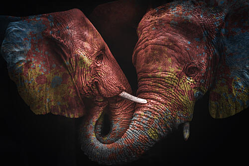 Colorful Elephant Embrace Art Print