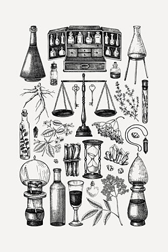 Alchemists Botanical Collection Art Print by Yevheniia Lytvynovych