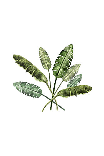 Vibrant Tropical Leaves Art Print