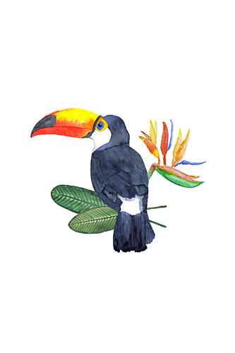 Tropical Toucan and Bloom Art Print