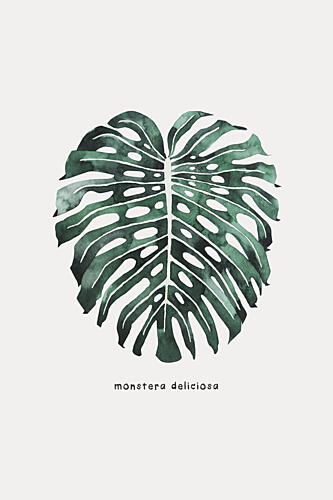 Monstera Leaf Watercolor Art Print