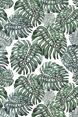 Tropical Monstera Leaves Art Print