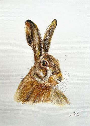 Alert Hare Portrait Art Print