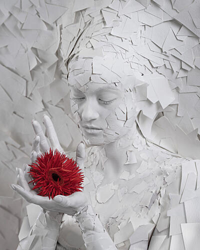 Fragmented Beauty Red Flower Art Print