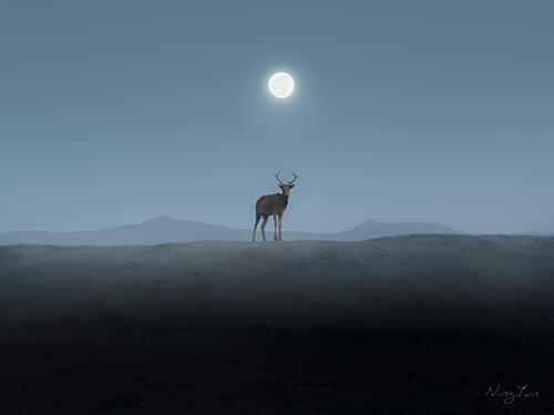 Elk in the Mist Art Print