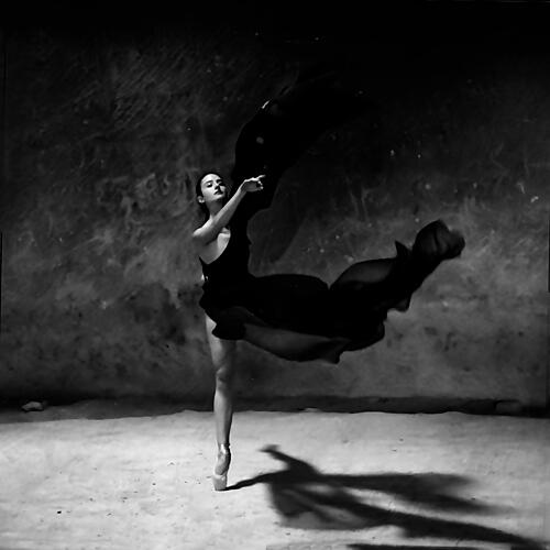 Elegant Ballet Flow Art Print