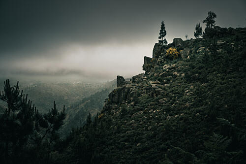 Misty Mountain Wilderness Art Print