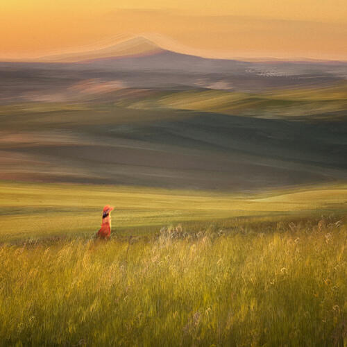Golden Hour Fox Art Print