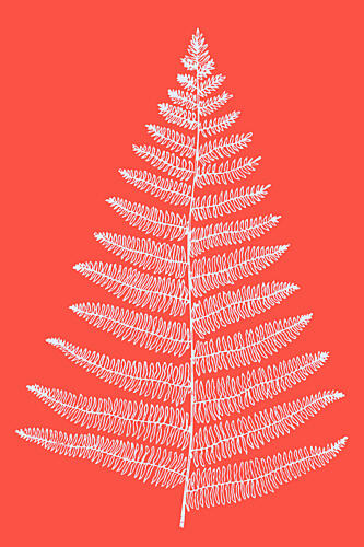 Xmas Christmas 2025 00010 Art Print