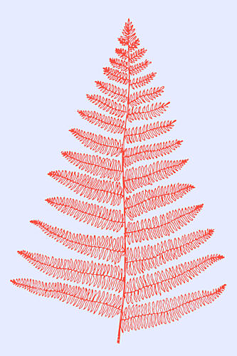 Xmas Christmas 2025 00011 Art Print
