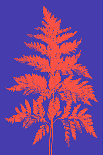 Xmas Christmas 2025 00008 Art Print