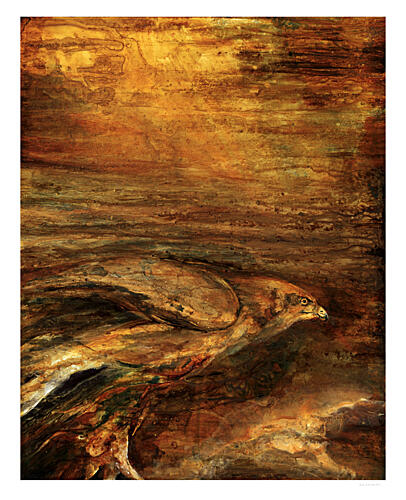 Golden Hawk Flight Art Print