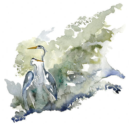 Two Herons Tranquil Pond Art Print