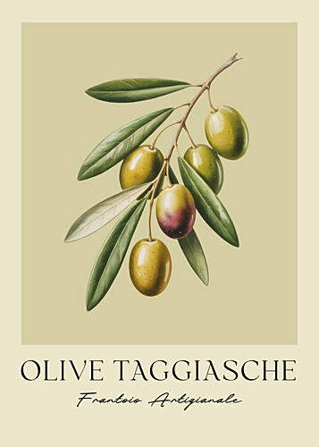 Mediterranean Olive Branch Art Print