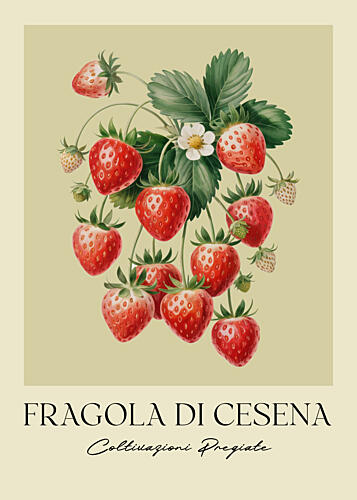 Vintage Strawberry Botanical Art Print