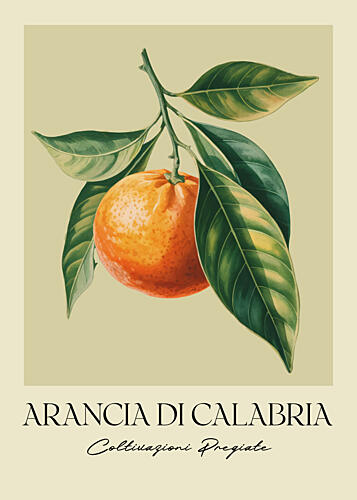 Elegant Orange Botanical Illustration Art Print
