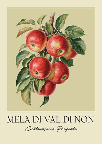 Vibrant Red Apples Art Print