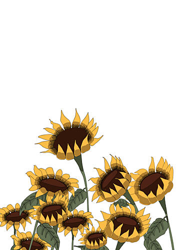 Sunny Sunflowers Art Print
